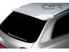 Спойлер на крышку багажника от CSR Automotive на Audi A6 C6 Wagon