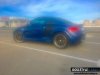 Накладки на пороги Regula Tuning на Audi TT 8N