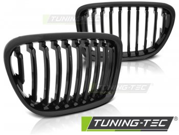 Решётка радиатора Black от Tuning-Tec на BMW X1 E84