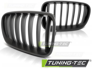 Решётка радиатора Matt Black от Tuning-Tec на BMW X3 F25