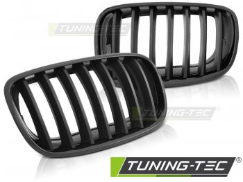 Решётка радиатора Glossy Matt Black от Tuning-Tec Black на BMW X5 E70 / X6 E71