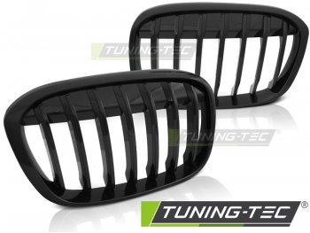 Решётка радиатора чёрный глянец от Tuning-Tec на BMW X1 F48
